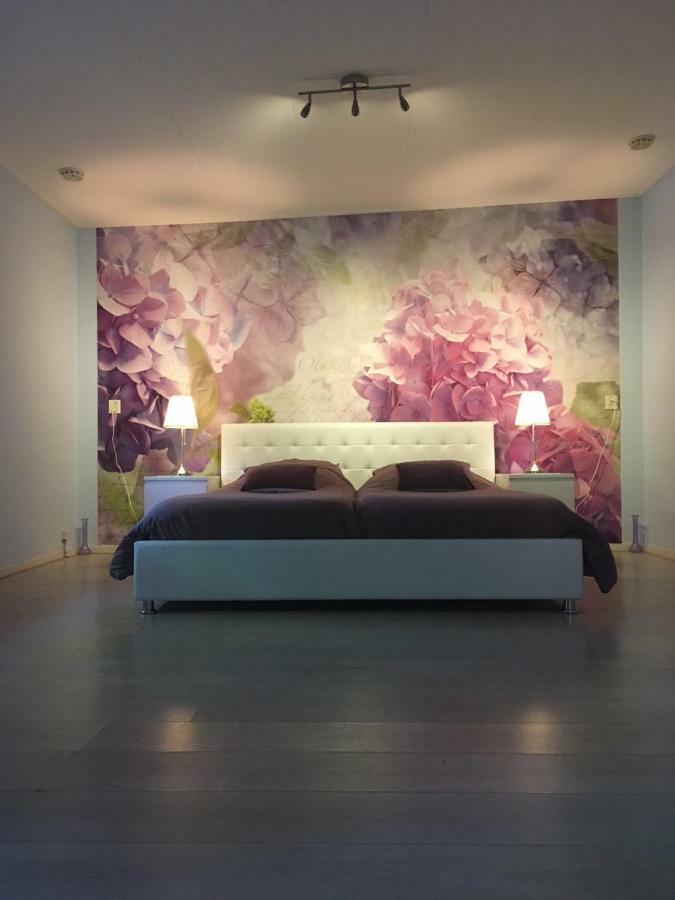 Brissago Apartment