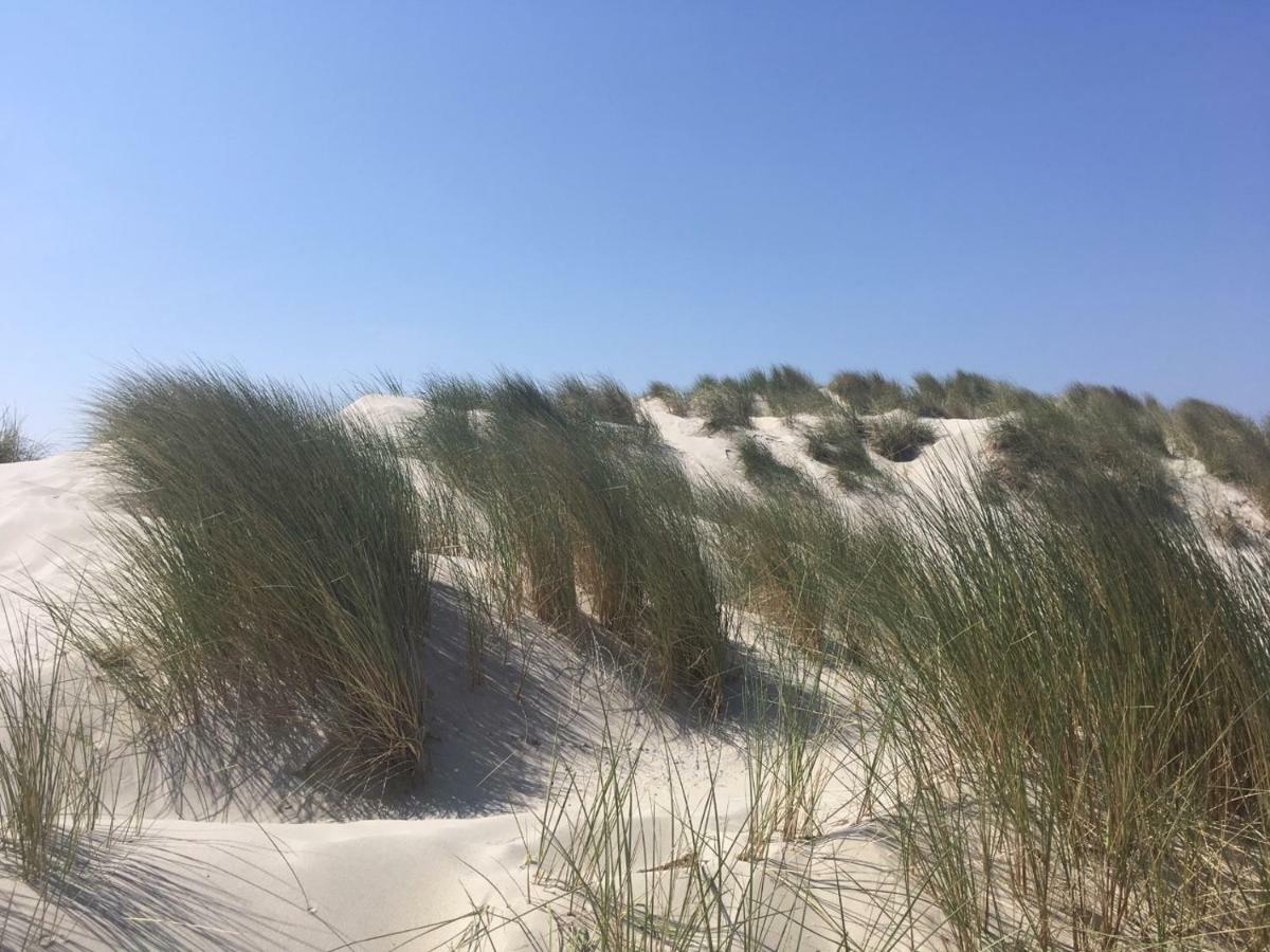 Apartment Brissago Nes (Ameland, Friesland)